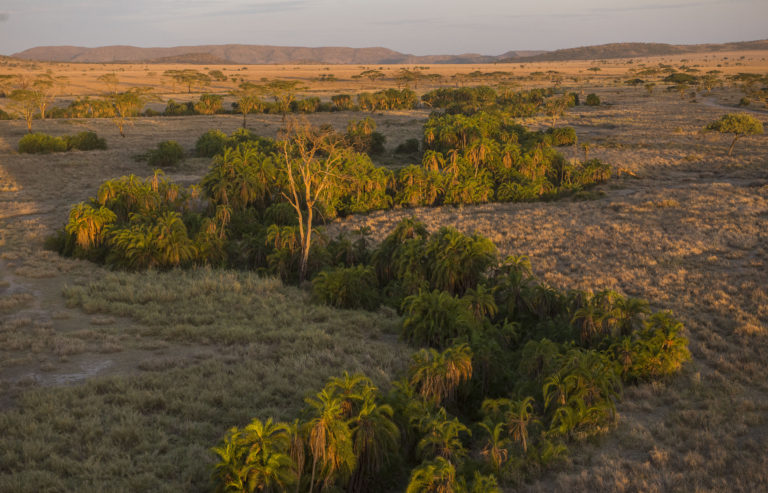 Serengeti wildlife safaris zanzibar beach kilimanjaro hiking