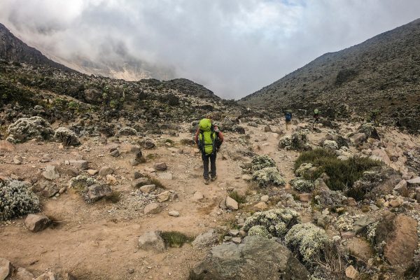 kilimanjaro leven