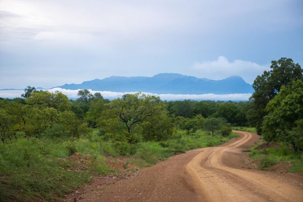 NIsimulie Africa -Serengeti, Zanzibar and Kilimanajro tours