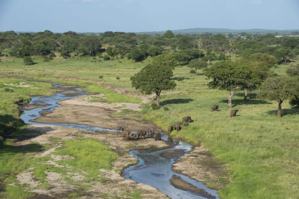 NIsimulie Africa -Serengeti, Zanzibar and Kilimanajro tours